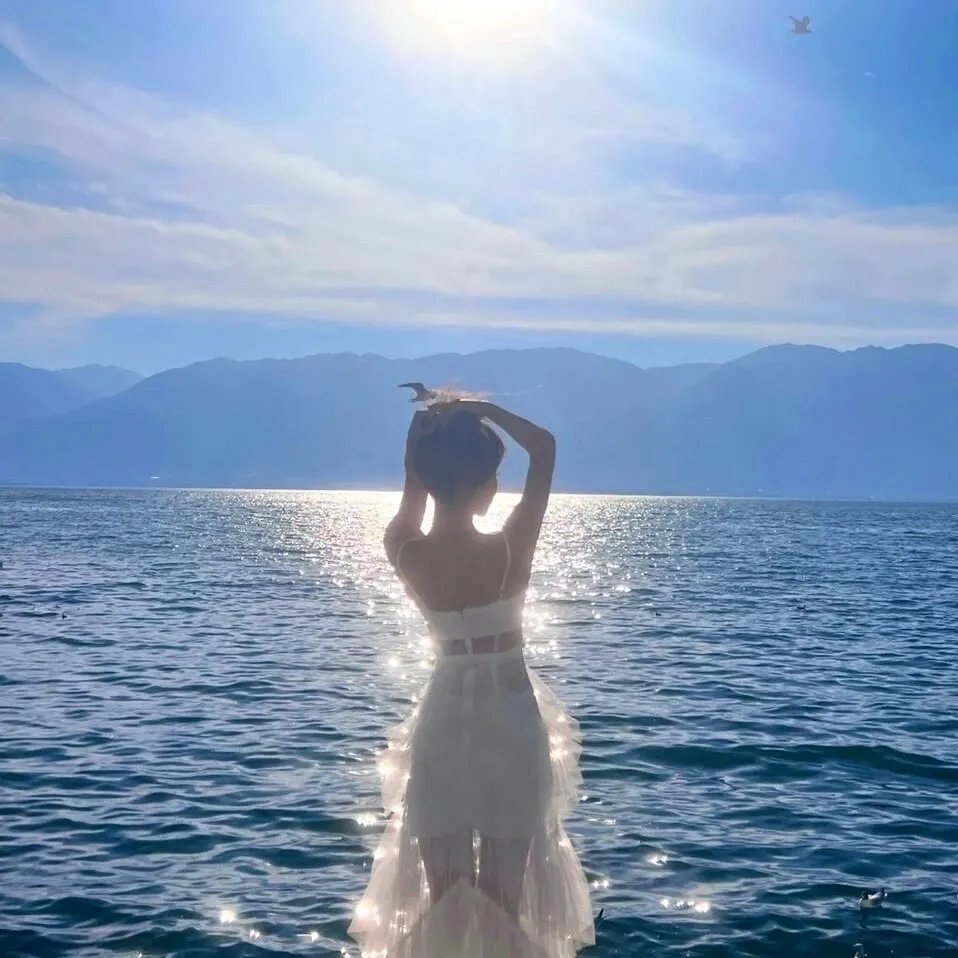 喵星少年漂流记